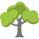 Mechanicsville Tree Trimming