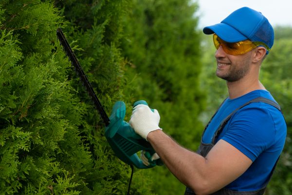 Tree Shaping Service in Mechanicsville